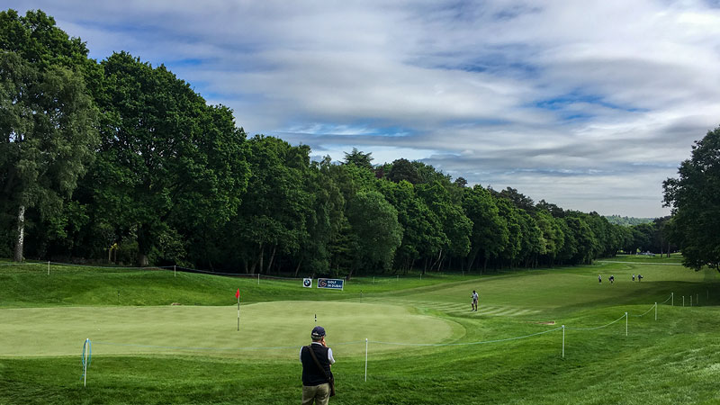 Looking green and lush in England.