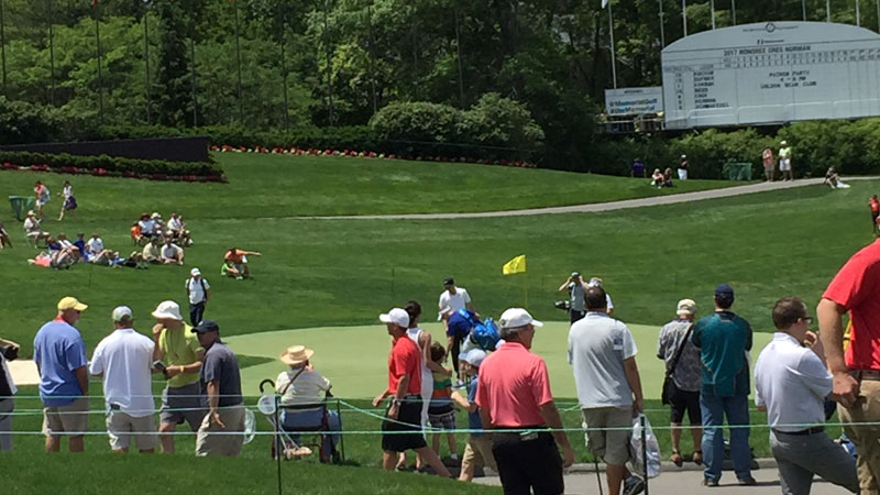 Players have been raving about the condition of the course this week.
