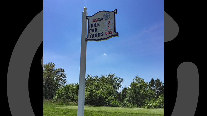 Bring the wood for this hole.