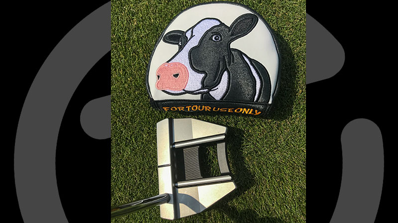 Celebrating America's Dairyland with Circle T Cowcovers for loyal Scotty Cameron putter players.