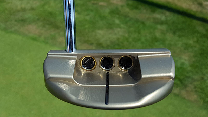 Roundback Prototype in Chromatic Bronze