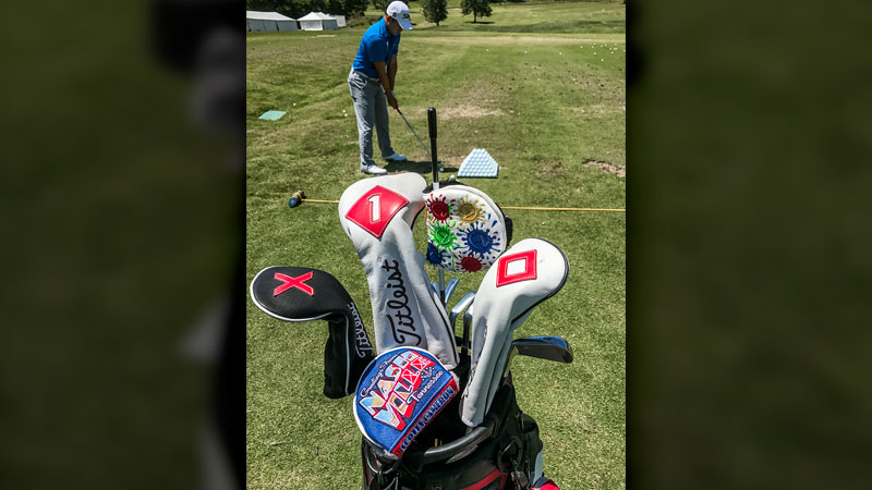 That's a cool collection of headcovers.