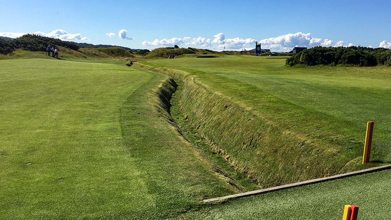 Green, green as far as the eye can see.