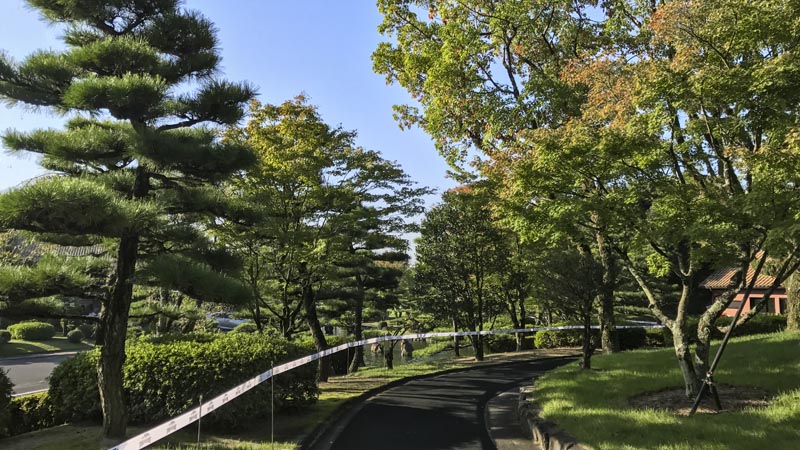 Beautiful day in Japan.
