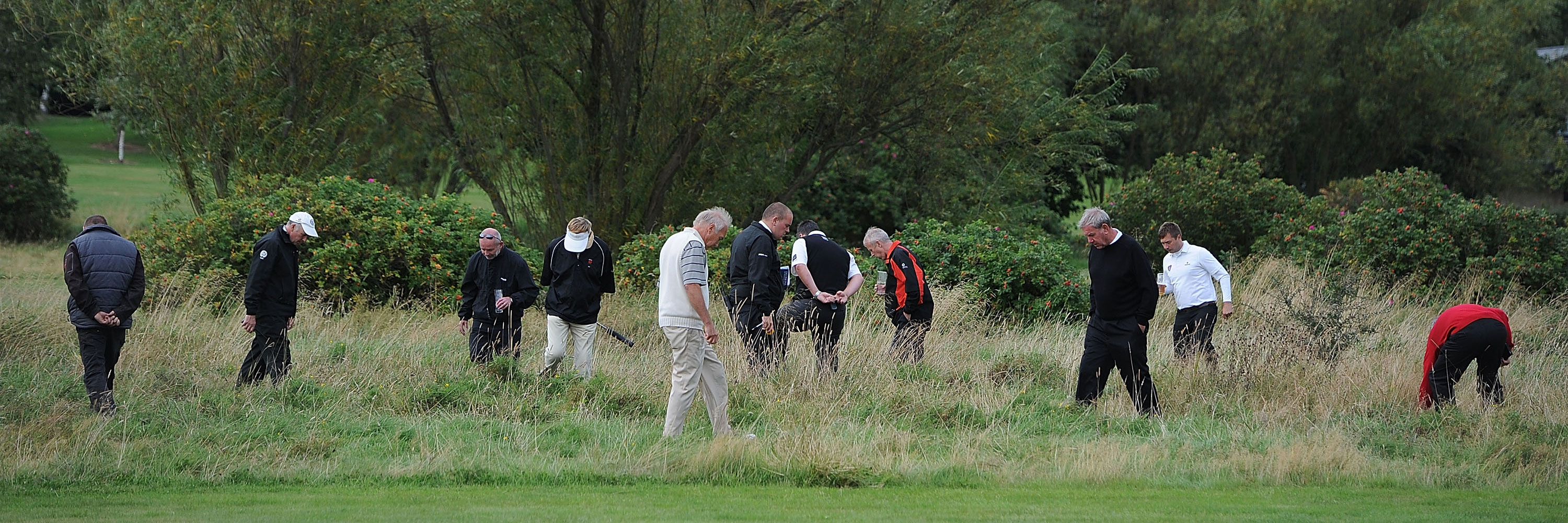 404 error page. Golfers looking for lost golf ball