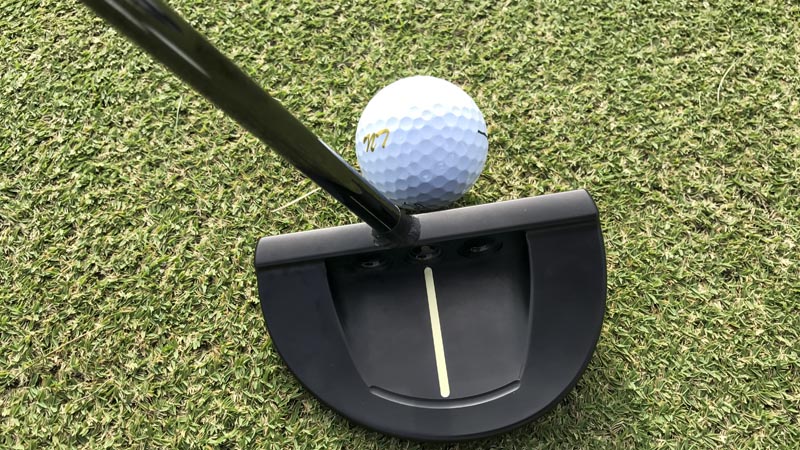 GoLo 5 straight shaft prototype