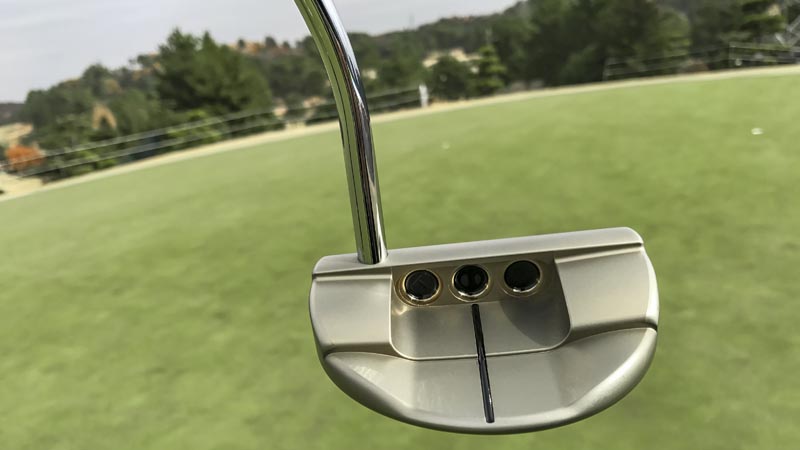 Roundback Prototype in Chromatic Bronze
