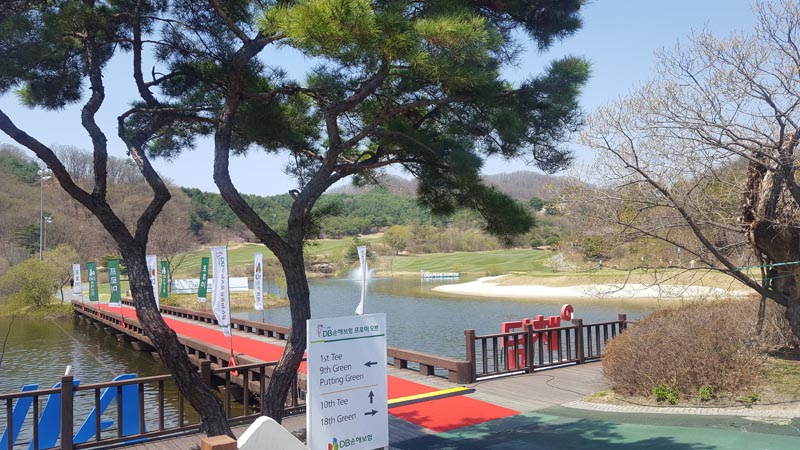 The scene from this week's DB Insurance Open on the Korean PGA Tour.