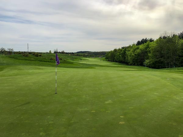 Enjoy the golf.