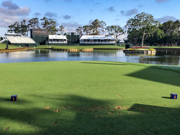 Whatcha got, caddie?