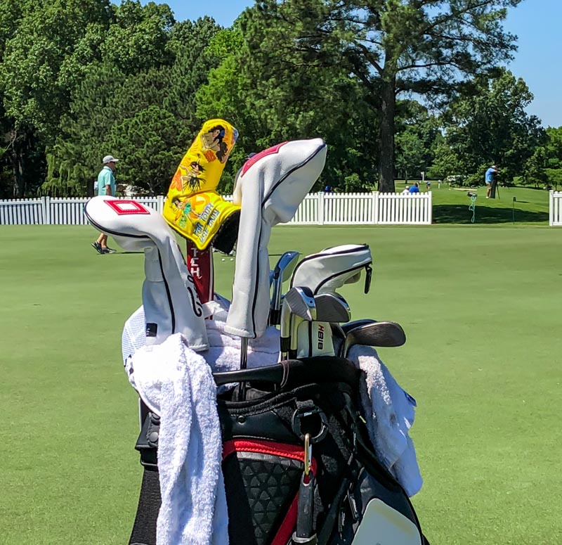 Hello, Hula Girl headcover!
