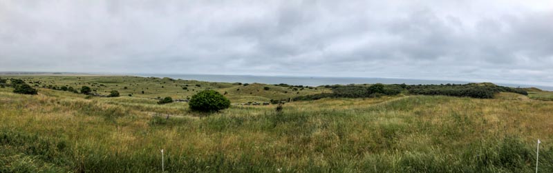 How's your links game today?