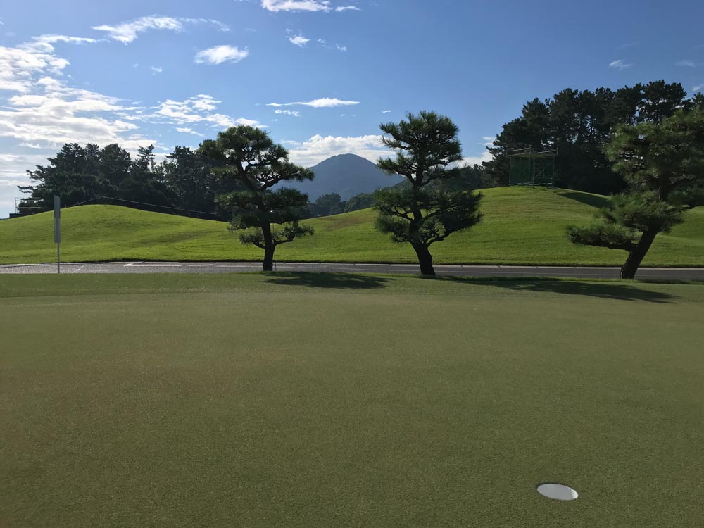 How good does that green look?