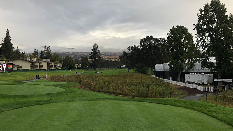 The scene is lush and green this week in Napa.