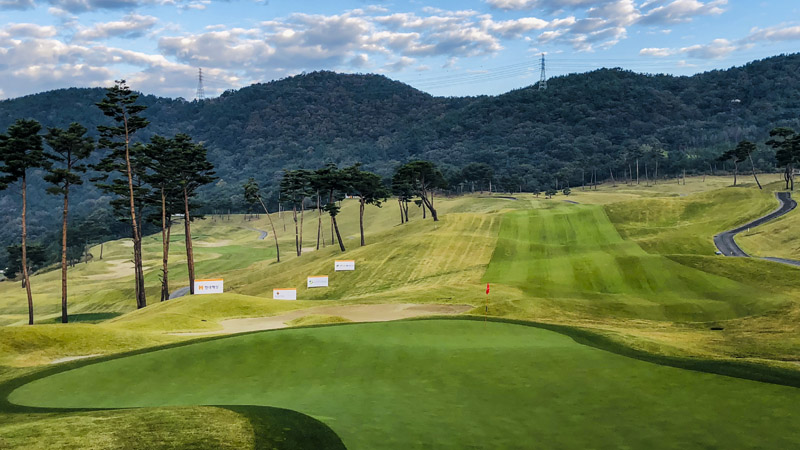 Scenes from South Korea.