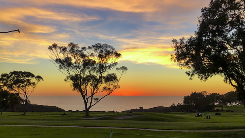 Enjoy the action from San Diego!