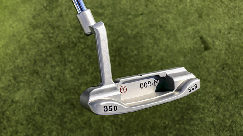 350-gram 009M (Masterful) SSS gamer