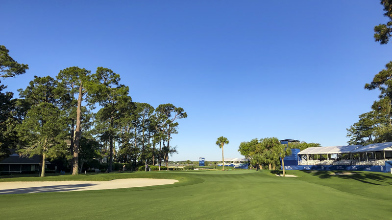 Green grass and blue skies in South Carolina.