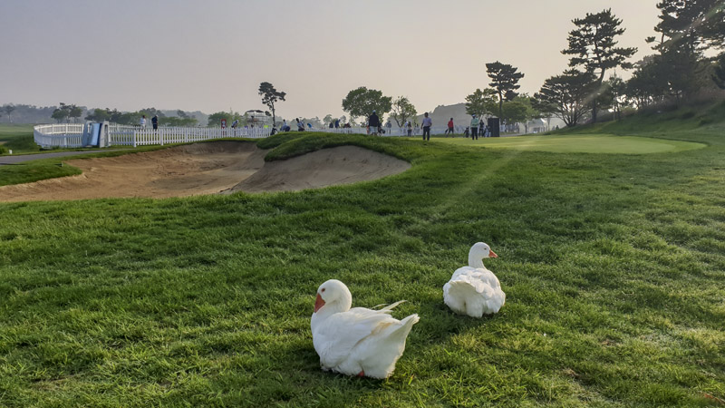 Locals enjoying the view.