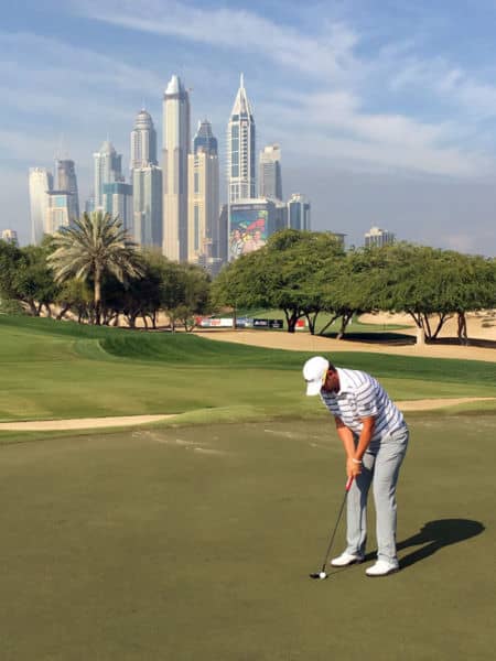That skyline almost doesn't look real!