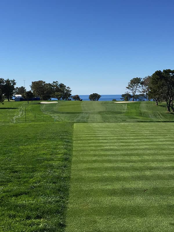 The beautiful Pacific Ocean is never far from your view at Torrey Pines.
