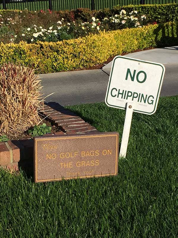 So that's how they keep the grass so nice.