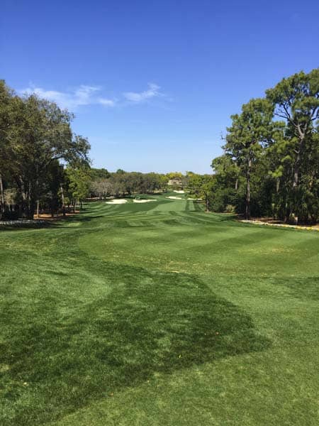 Looking good at Innisbrook Resort's Copperhead course.