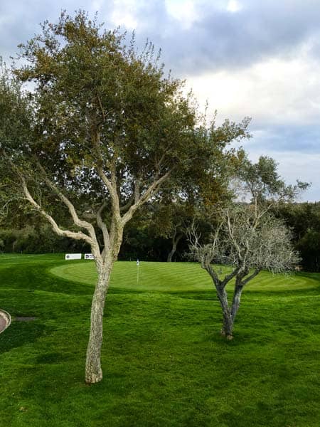 Valderrama