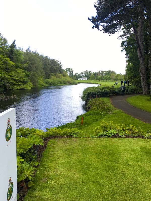 Beautiful views this week at the K Club.