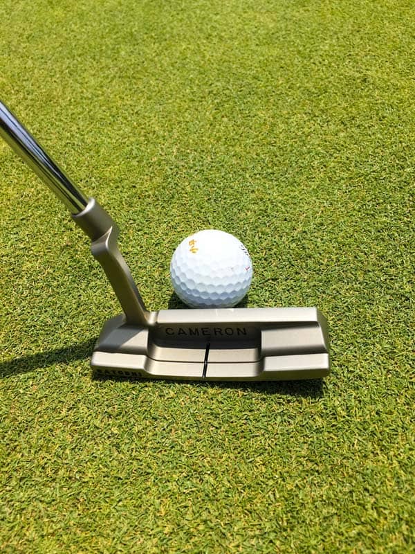 Newport 2 GSS in Chromatic Bronze