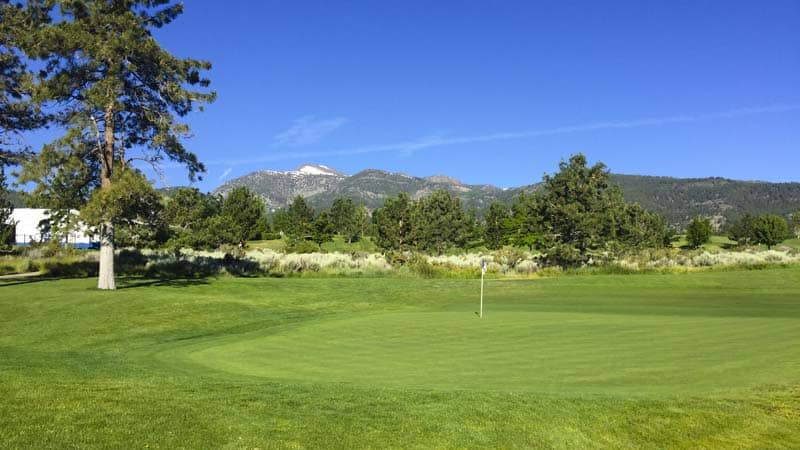Are you ready for the Modified Stableford scoring format at this week's Barracuda Championship.