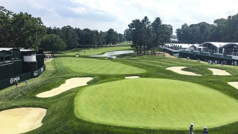 How good does the course look?