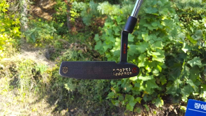 A well-gamed raw carbon steel putter.