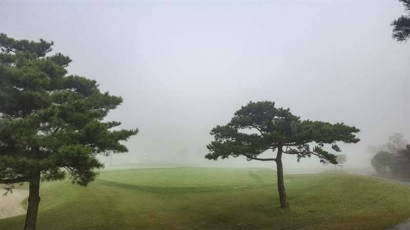 Fog delay?