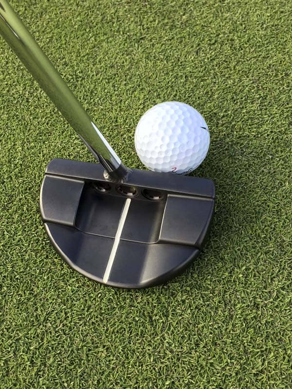 Straight shaft Roundback Prototype Tour putter.
